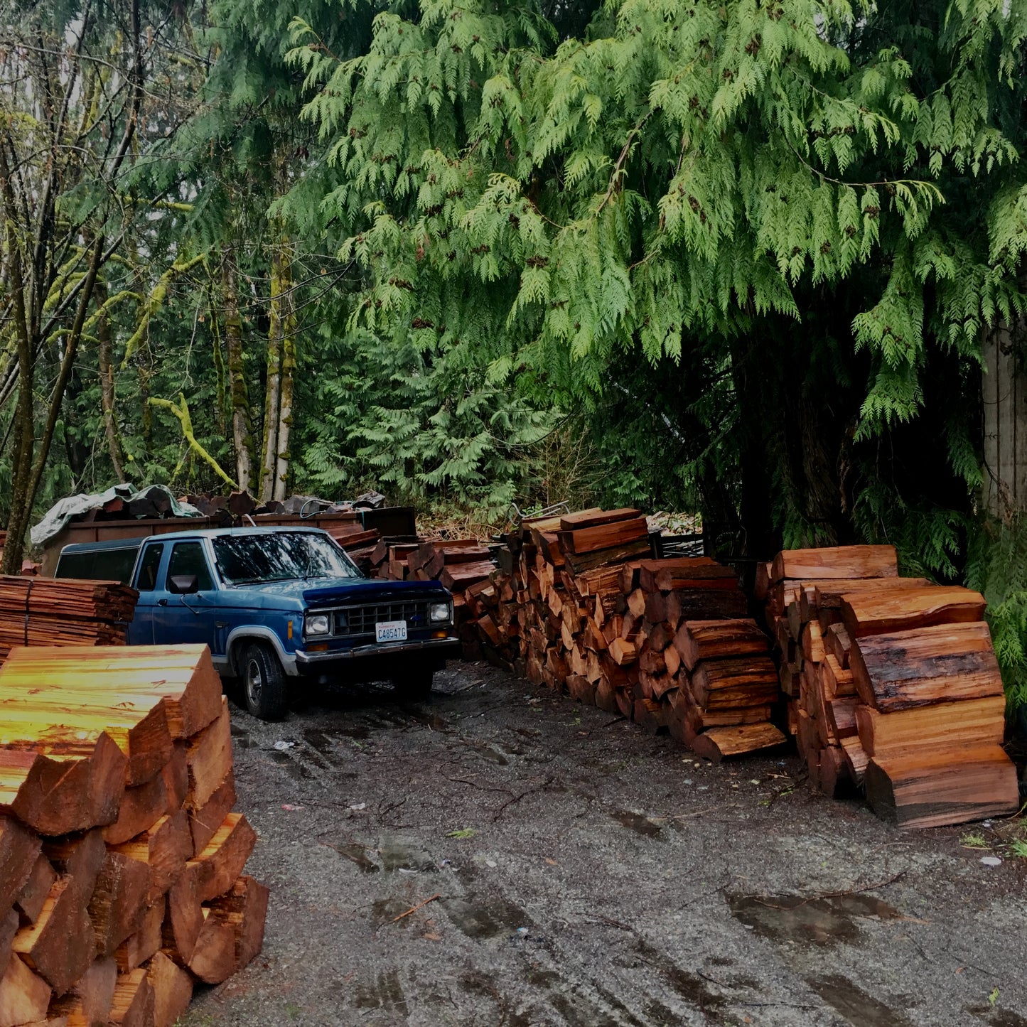 Northwest Yard – 12x12 Canvas Wrap