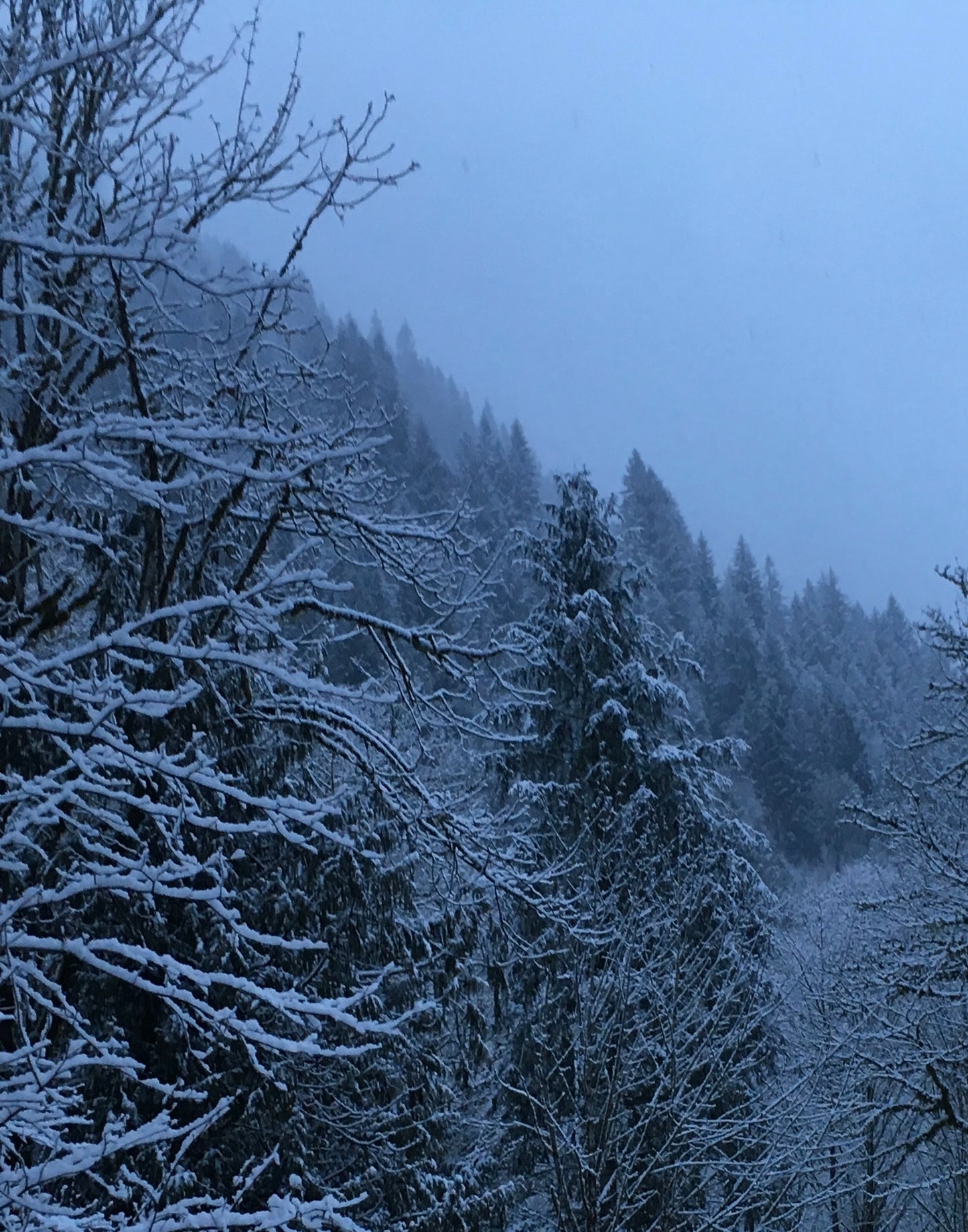 Snowy Saturday – 11x14 Canvas Wrap