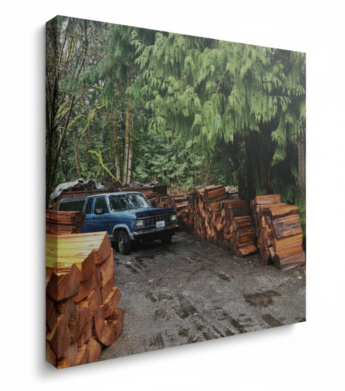 Northwest Yard – 12x12 Canvas Wrap