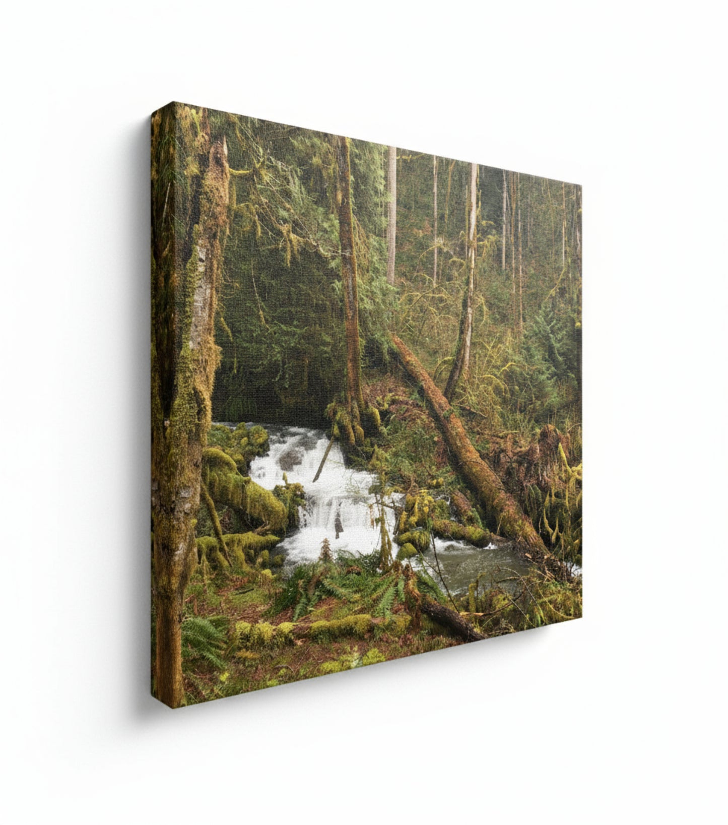 Old Sauk Trail – 12x12 Canvas Wrap
