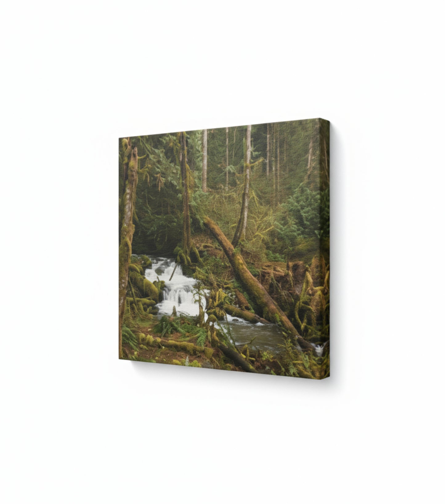 Old Sauk Trail – 12x12 Canvas Wrap